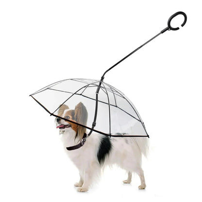 Dog Umbrella - PetsZio