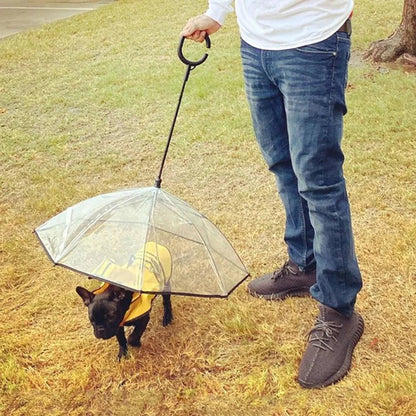 Dog Umbrella - PetsZio